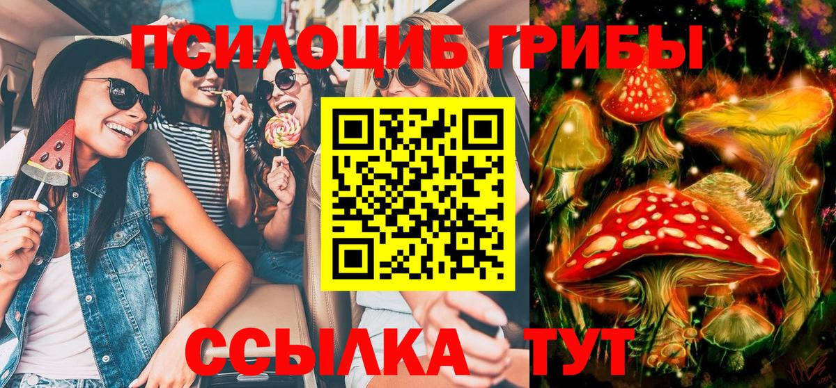 Галлюциногенные грибы мухоморы Грозный