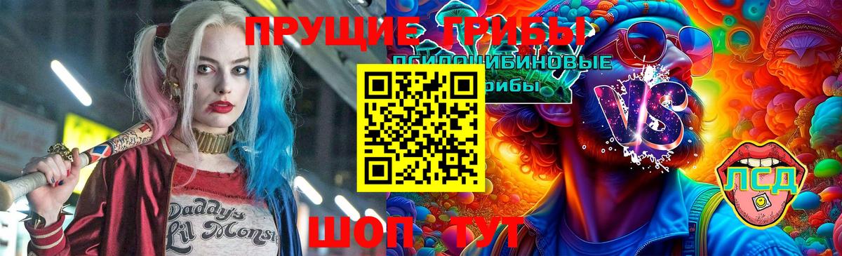 Псилоцибиновые грибы прущие грибы  Вход с VPN  Грозный 